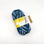 Пряжа Design Line Schachenmayr Regia, цвет 03891